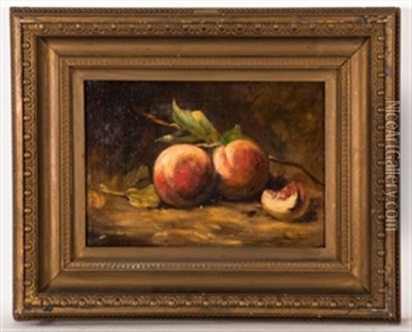 Still Life Of Peaches Oil Painting - Louise Ellen Perman