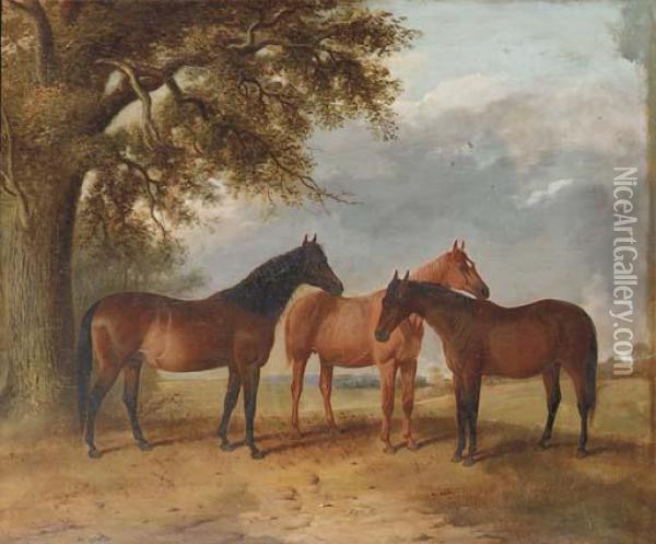 Rose, Comus Mare And Lady Fanny, A Portrait Of Two Bays And Achestnut In An Extensive Landscape Oil Painting - R. Harrington