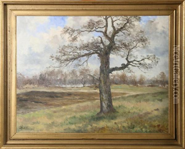 Landskap Oil Painting - Rolf Mellstrom
