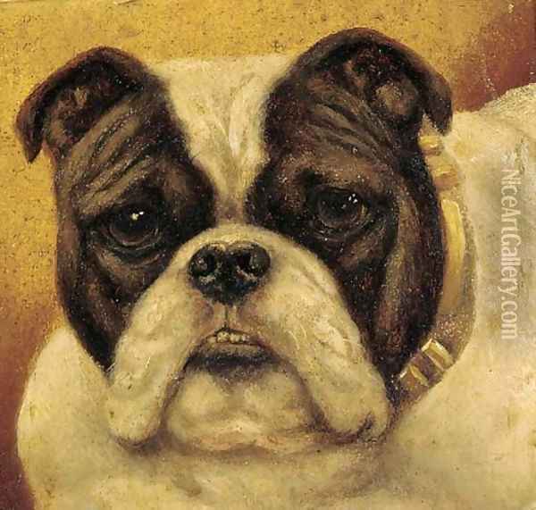 A bulldog Oil Painting - English School