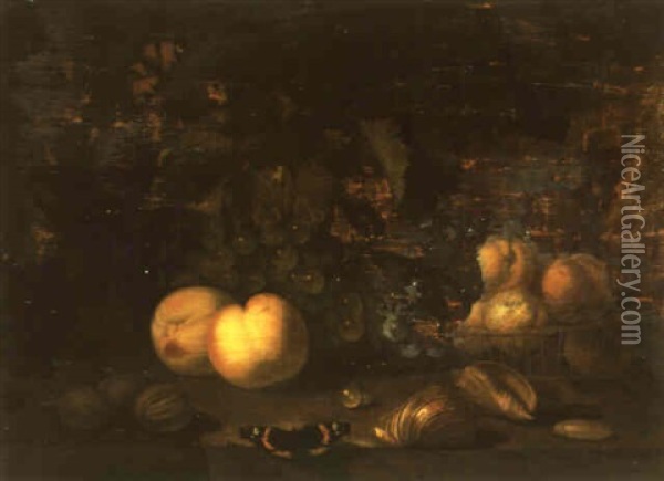 Still Life With Fruit And Shells Arranged On A Ledge Oil Painting - Abraham Van Calraet