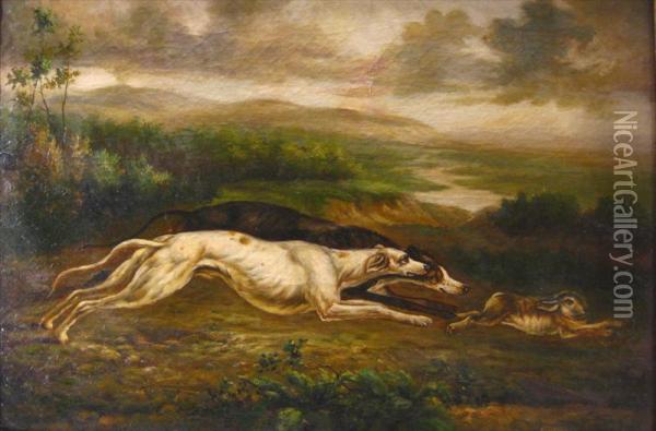 Hunt Scene With Dogs Chasing Arabbit Oil Painting - M. Harnett