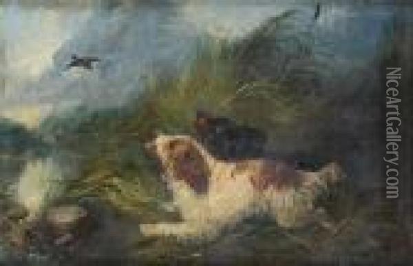 Spaniels Flushing Duck Oil Painting - George Armfield