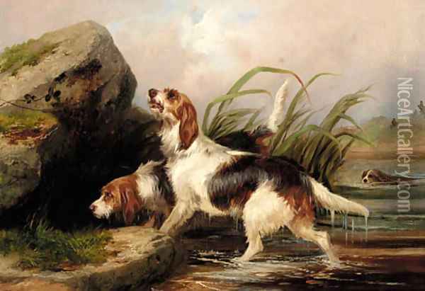 Otter hounds on the scent Oil Painting - Colin Graeme Roe