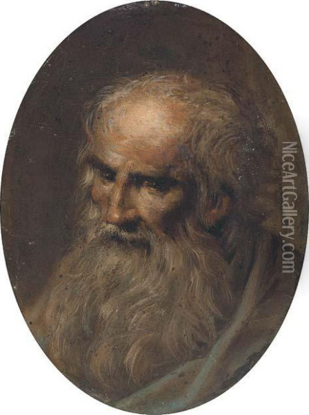 Head Of A Male Saint Oil Painting - Jacopo Robusti, II Tintoretto