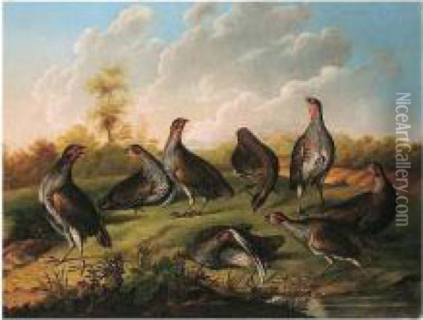 A Covey Of Partridges Oil Painting - Stephen Elmer