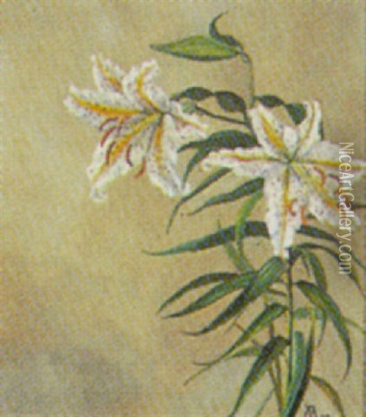 Hvide Liljer Oil Painting - Alfrida Baadsgaard