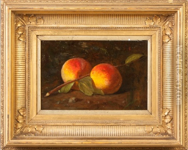 Still Life Of Peaches Oil Painting - William Rickarby Miller