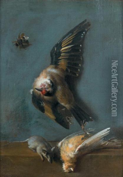 Nature Morte Aux Oiseaux, Abeille Et Musaraigne Oil Painting - Jean-Baptiste Oudry