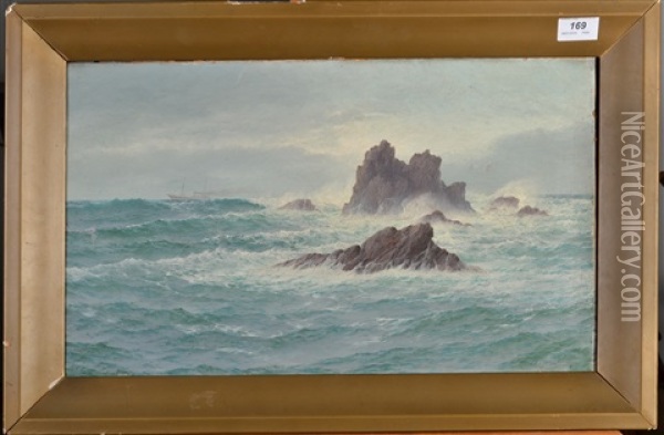 Ship At Sea Oil Painting - David James