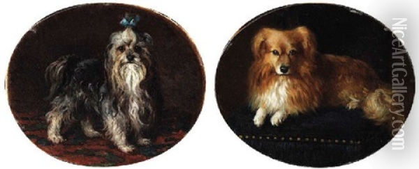 Yorkshire Terrier Oil Painting - Sir Edwin Henry Landseer