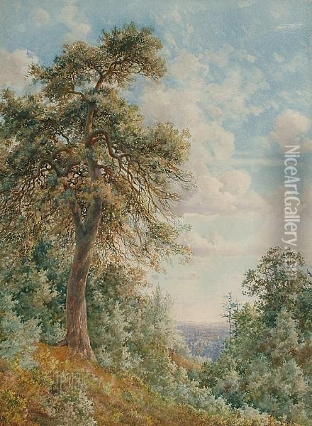View From A Hill Oil Painting - Philip A. Bosworth