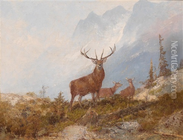 Fine Stag Oil Painting - Georg Fischhof