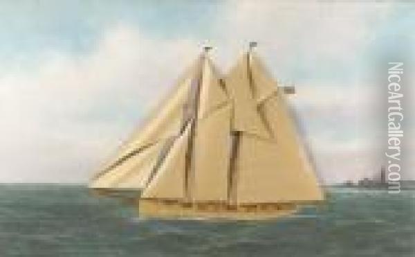 The Schooner Alert Of The New York Yacht Club Oil Painting - Thomas Willis