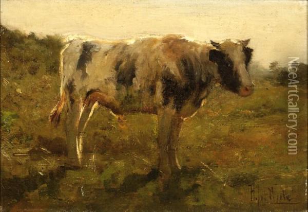White Bull Oil Painting - Hermann Johannes Van Der Weele