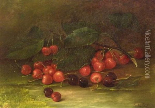 Still Life With Cherries Oil Painting - Abbie Luella Zuill