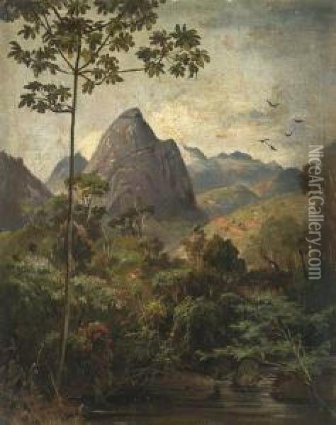 Landscape Near Rio De Janeiro Oil Painting - Karl Ernest Papf