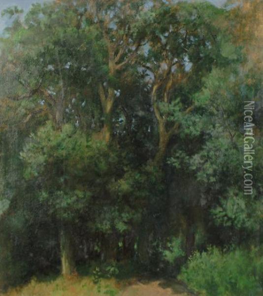 Trees In Summer Oil Painting - Charles Brooke Farrar
