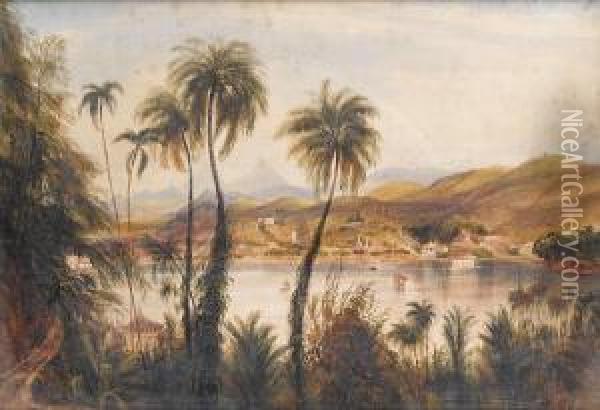 A River In Ceylon Oil Painting - Andrew Nicholl