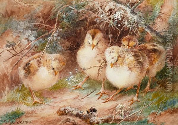 Four Chicks Watching A Bumble Bee Oil Painting - Charles Henry C. Baldwyn