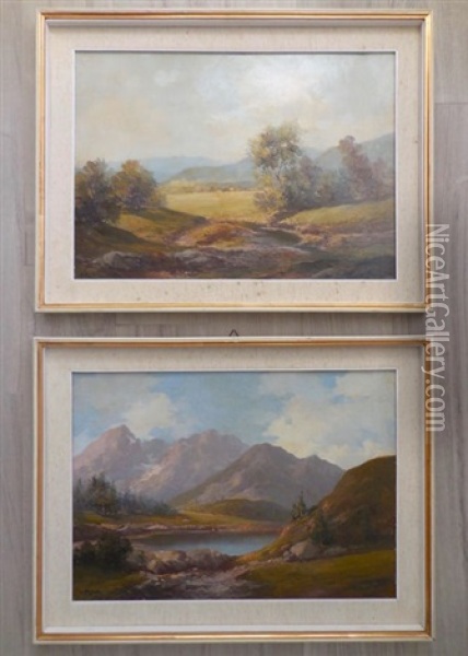 Paesaggi Montani Oil Painting - Leonardo Roda