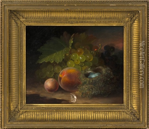 Still Life Of Fruit, A Bird's Nest With Eggs, And A Ladybug Oil Painting - George Forster