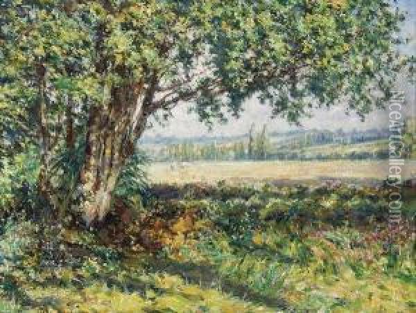 Vue De Mon Jardin Oil Painting - Ferdinand Willaert