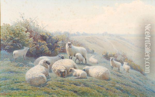 Sheepon A Hillside Oil Painting - Henry Birtles