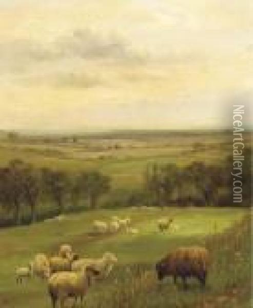 Sheep Grazing In An Extensive Country Landscape Oil Painting - George Vicat Cole