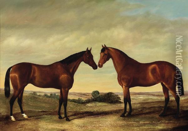 Pair Of Horses Oil Painting - James Senior Clark