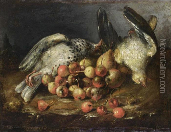 A Still Life With Two Pigeons, Cherries, Rose-hips And Pears, All In A Landscape Setting Oil Painting - Bartolommeo Bimbi