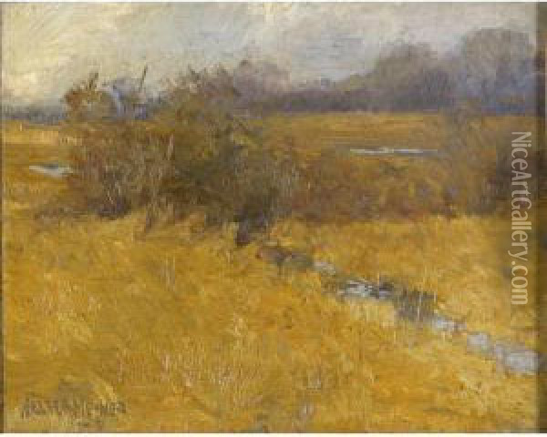 November Marsh Oil Painting - Walter Meyner