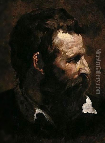 Head Of A Bearded Man In Profile Oil Painting - Domenico Beccafumi