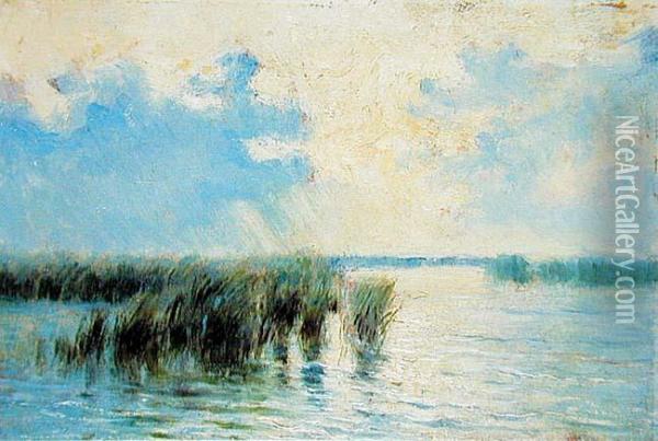 Trzciny Na Jeziorze Kaszubskim Oil Painting - Marceli Harasimowicz