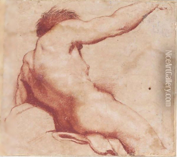 Seated Male Nude With Raised Arm, Seen From Behind Oil Painting - Annibale Carracci