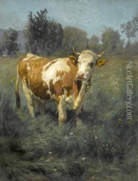 Kuh Auf Der Wiese Oil Painting - Rudolf Koller