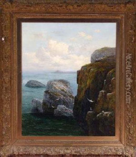 The Farne Islands Oil Painting - Thomas John Banks