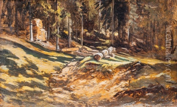 Les Ve Slunci Oil Painting - Julius Eduard Marak