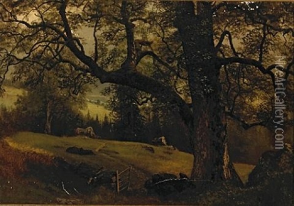 A Trail Through The Trees Oil Painting - Albert Bierstadt