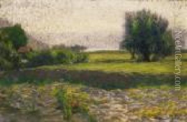 Sunlit Field Oil Painting - Hugo Poll