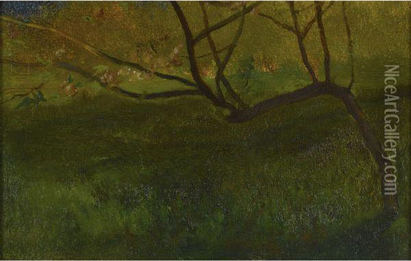 Study Of Apple Tree. Spring Oil Painting - John La Farge