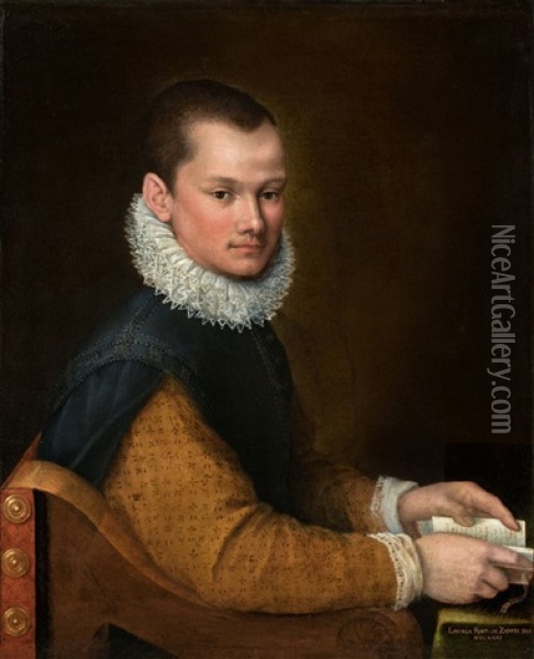 Portrait Of A Young Man At His Table Oil Painting - Lavinia Fontana