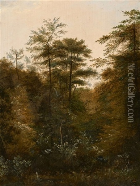 Etude De Sous-bois Avec Le Trepied De L'artiste, Foret De Fontainebleau Oil Painting - Alexandre Francois Loisel