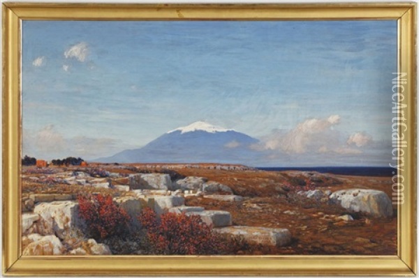 Paysage Et Mont Enneige Oil Painting - Max Roeder