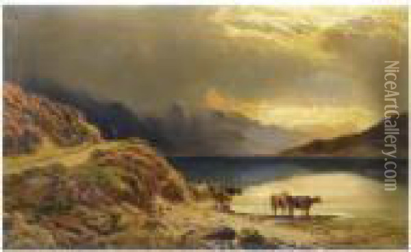 Cattle Watering Beside A Highland Loch Oil Painting - Sidney Richard Percy
