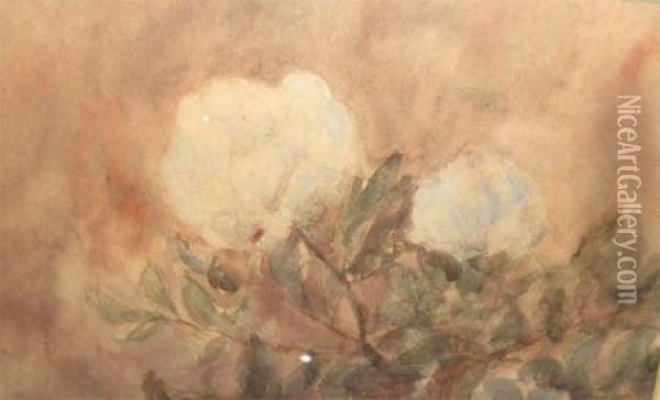 Peonies Oil Painting - Thomas Gainsborough