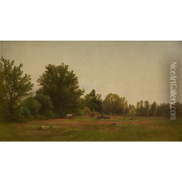 Near Tamworth, New Hampshire Oil Painting - John William Casilear