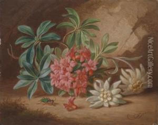 Spray Of Flowers And Beetle Oil Painting - Josef Ii Schuster