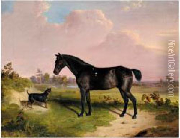 A Dark Bay Pony With A Terrier In A Landscape Oil Painting - Edward Webb