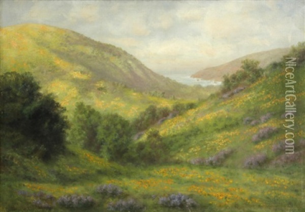 Wildflowers On The Coast Oil Painting - Charles Dorman Robinson